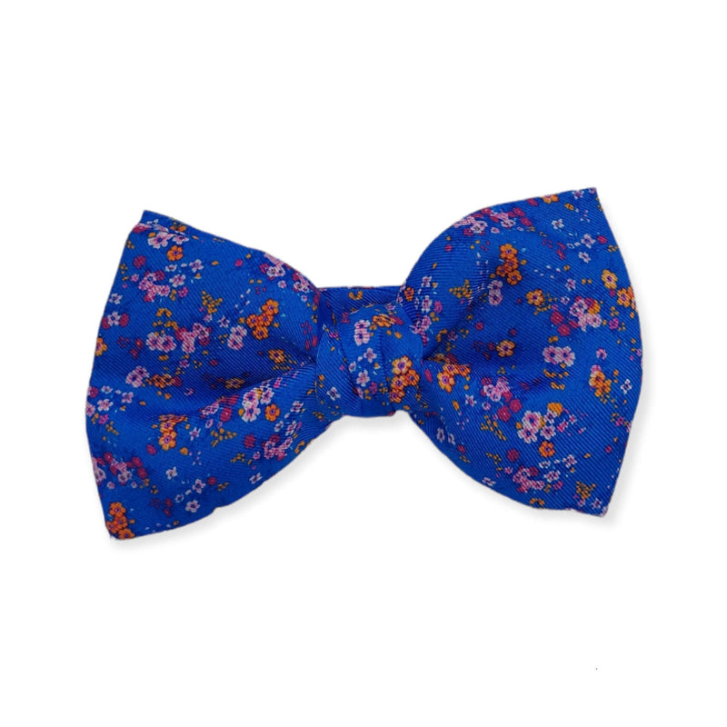 Set : Silk suspenders blue colour background with multicoloured flowers in red, orange and pink tones with matching bow tie.